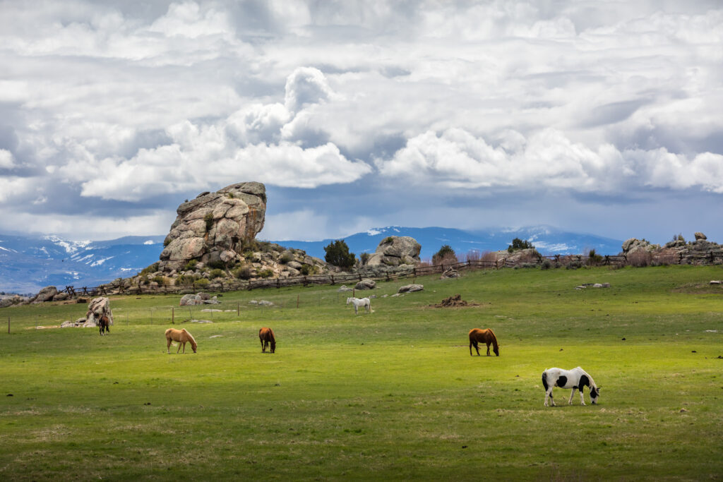 Dude ranch, but make it luxe